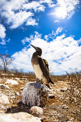 Similar image 21000324