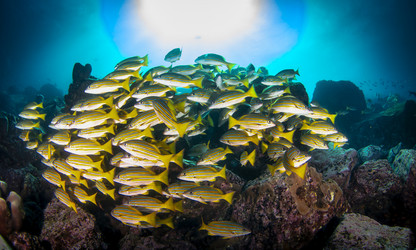 Similar image 21000325