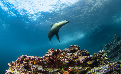 Similar image 21000326