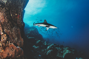 Similar image 21002481