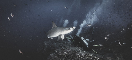 Similar image 21002484