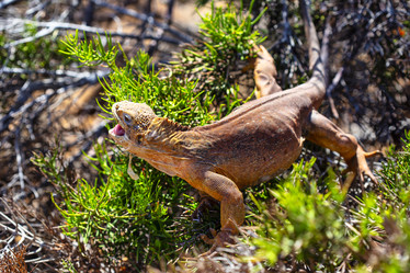 Similar image 21002488