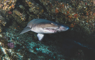 Similar image 21002497