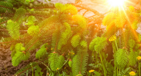 Similar image 21002653