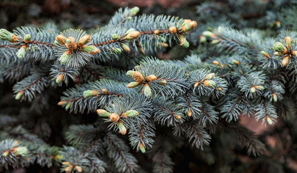 Similar image 21002659