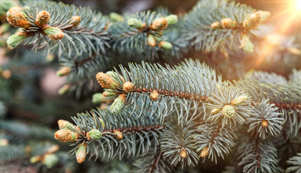 Similar image 21002662