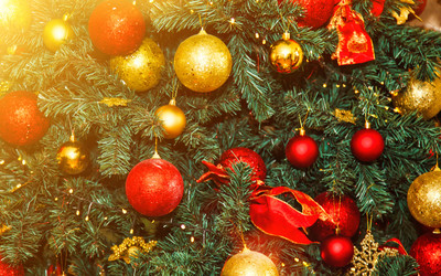 Similar image 21002663