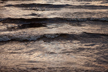 Similar image 21002664