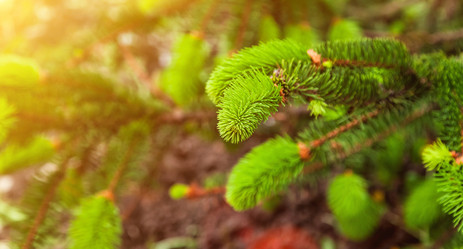 Similar image 21002672