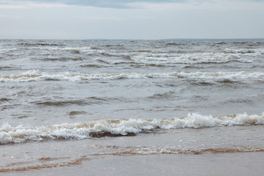 Similar image 21002680