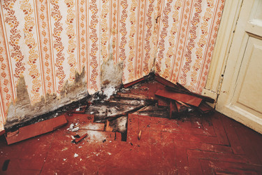 Similar image 21002685