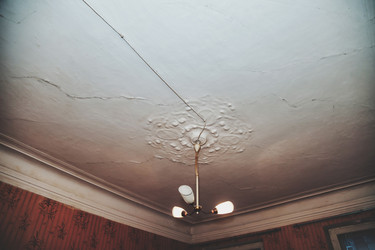 Similar image 21002686