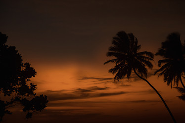 Similar image 21002814