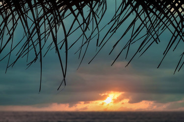 Similar image 21002848