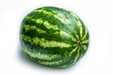 Similar image 21003011