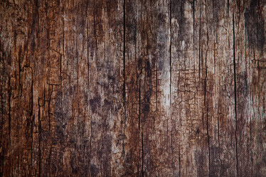 Similar image 21000377