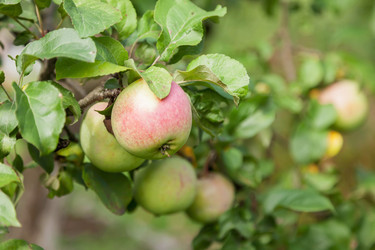 Similar image 21002529