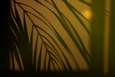 Similar image 21002707