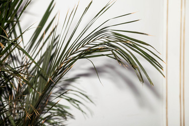 Similar image 21002713