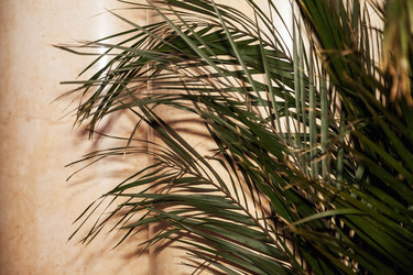 Similar image 21002718