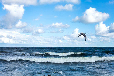 Similar image 21002745