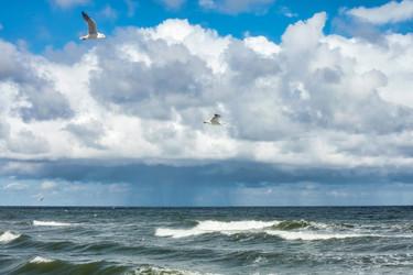 Similar image 21002749