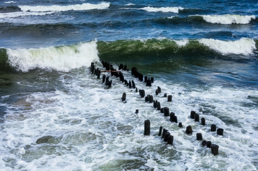 Similar image 21002751