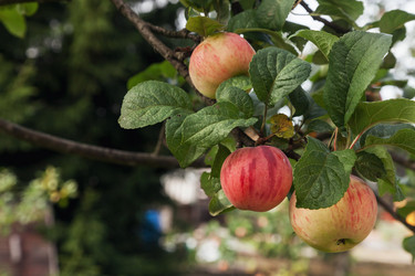 Similar image 21002869