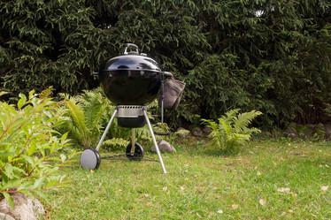 Similar image 21002871