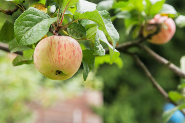 Similar image 21002873