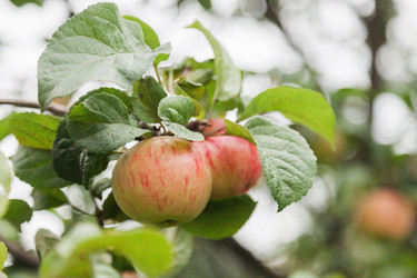 Similar image 21002877