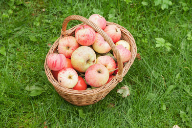 Similar image 21002883