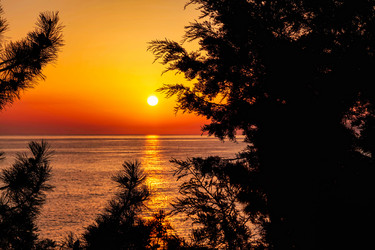 Similar image 21002884