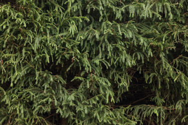 Similar image 21002885