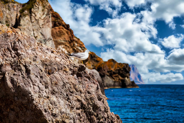 Similar image 21002888