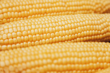 Similar image 21002894