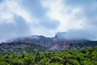 Similar image 21002898