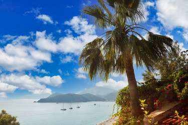 Similar image 21002899