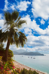 Similar image 21002900