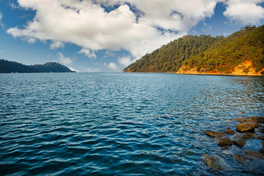 Similar image 21002901