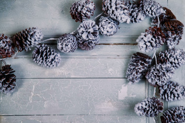 Similar image 21000398