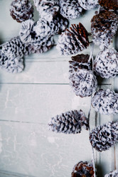 Similar image 21000400