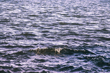 Similar image 21000403