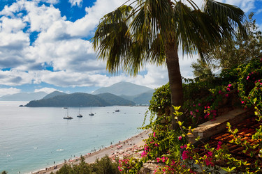 Similar image 21000412