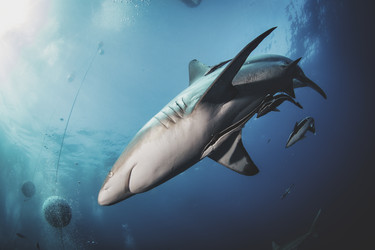 Similar image 21000423