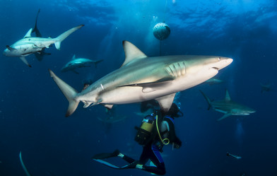 Similar image 21000428