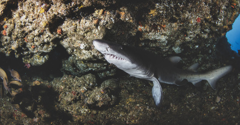 Similar image 21000430