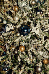 Similar image 21000431