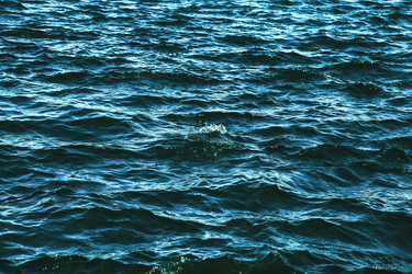 Similar image 21000436