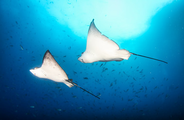 Similar image 21000444